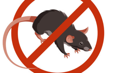 How do you stop rats from coming into your house?