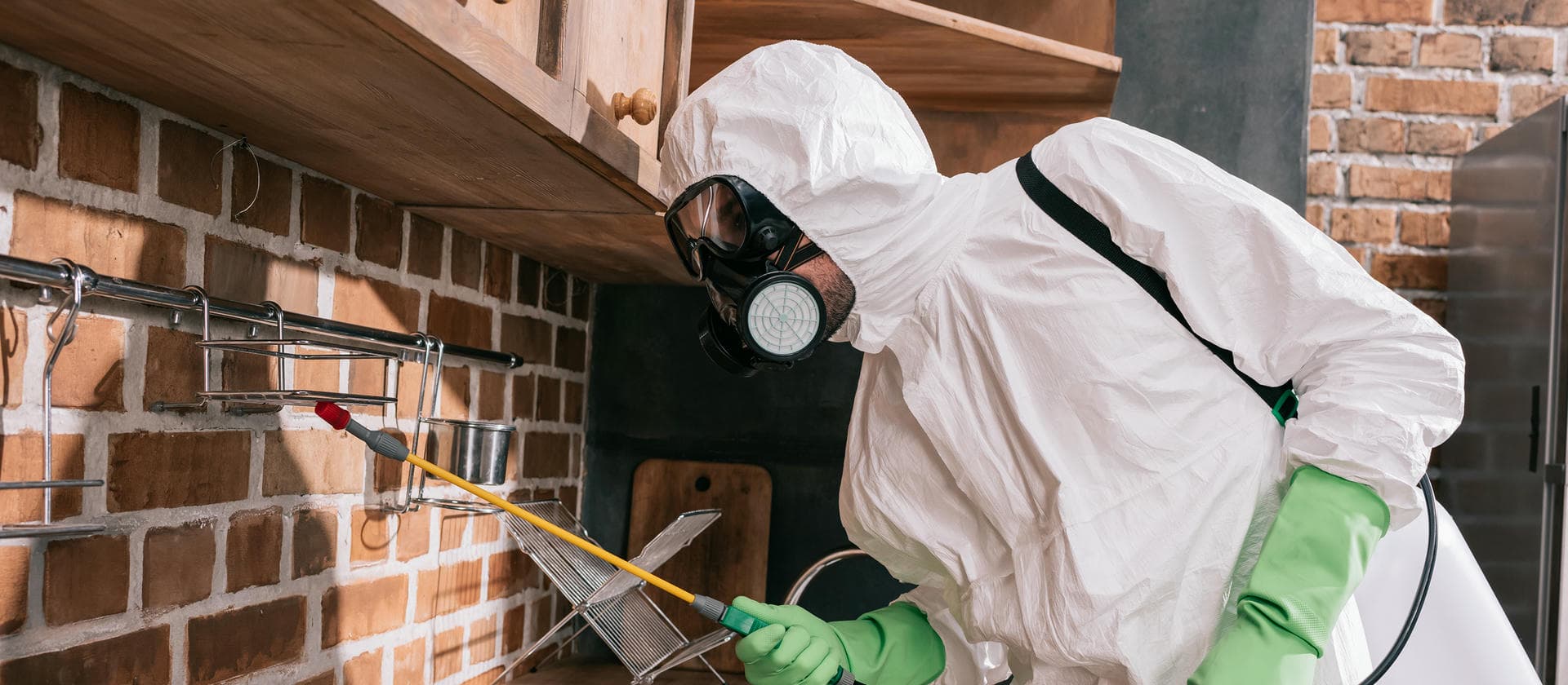 Home - Contact Pest Control